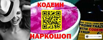 индика Ярославль