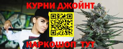 индика Ярославль