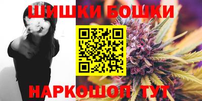 индика Ярославль