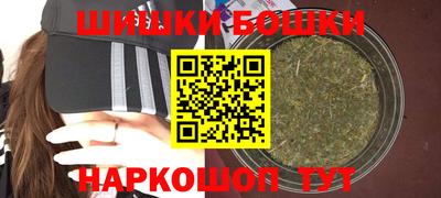 индика Ярославль