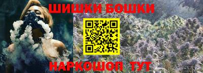 индика Ярославль