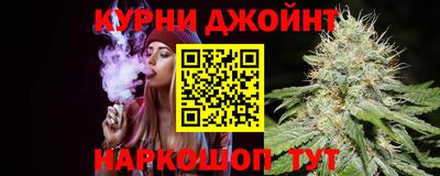 индика Ярославль